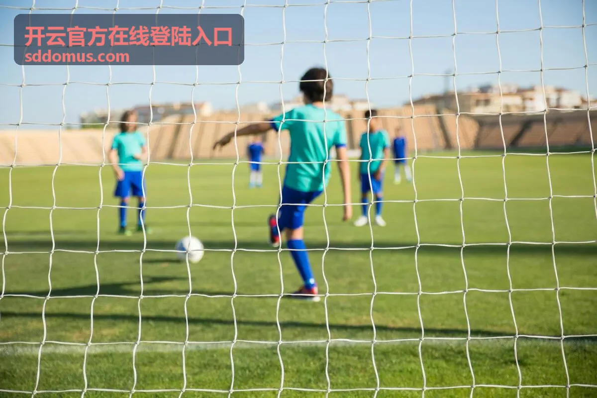 开云官方在线登陆入口长时间未登录后重新进入的说明示意