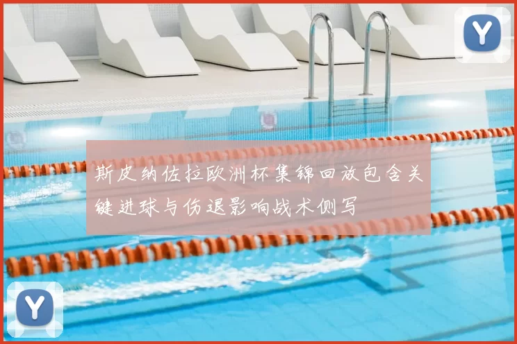 斯皮纳佐拉欧洲杯集锦回放包含关键进球与伤退影响战术侧写