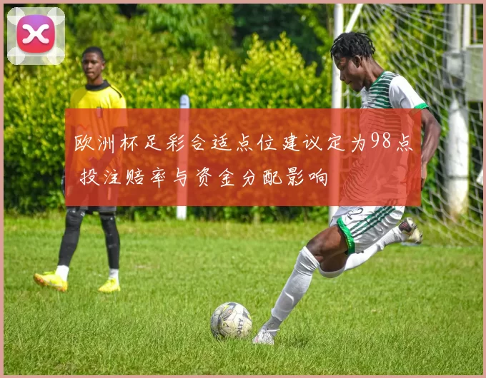 欧洲杯足彩合适点位建议定为98点 投注赔率与资金分配影响