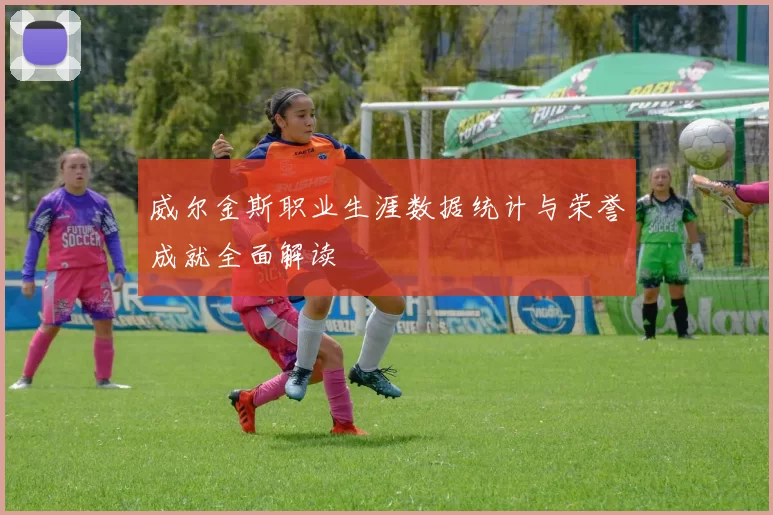 威尔金斯职业生涯数据统计与荣誉成就全面解读