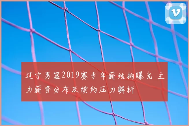 辽宁男篮2019赛季年薪结构曝光 主力薪资分布及续约压力解析