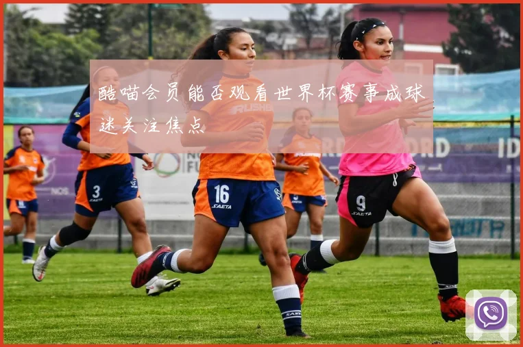 酷喵会员能否观看世界杯赛事成球迷关注焦点