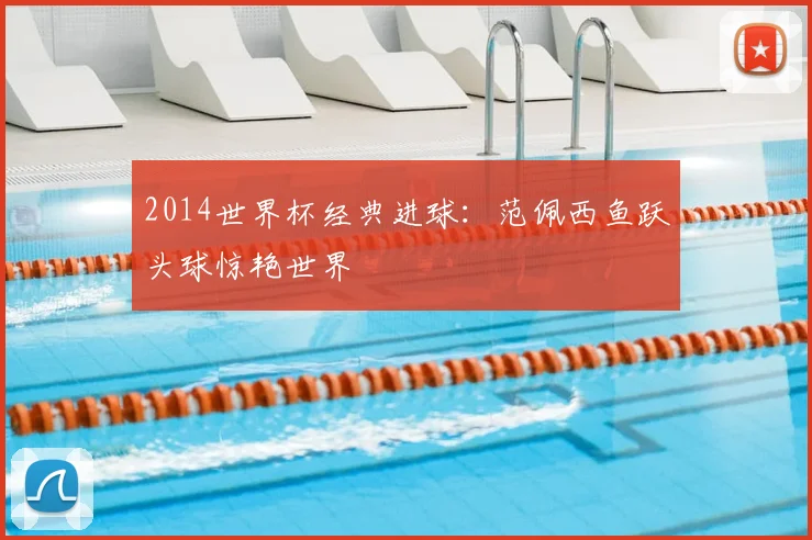 2014世界杯经典进球：范佩西鱼跃头球惊艳世界