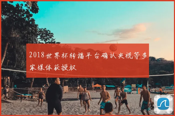 2018世界杯转播平台确认央视等多家媒体获授权
