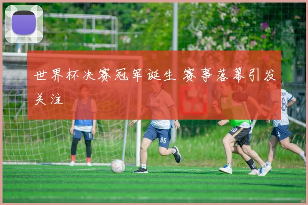 世界杯决赛冠军诞生 赛事落幕引发关注