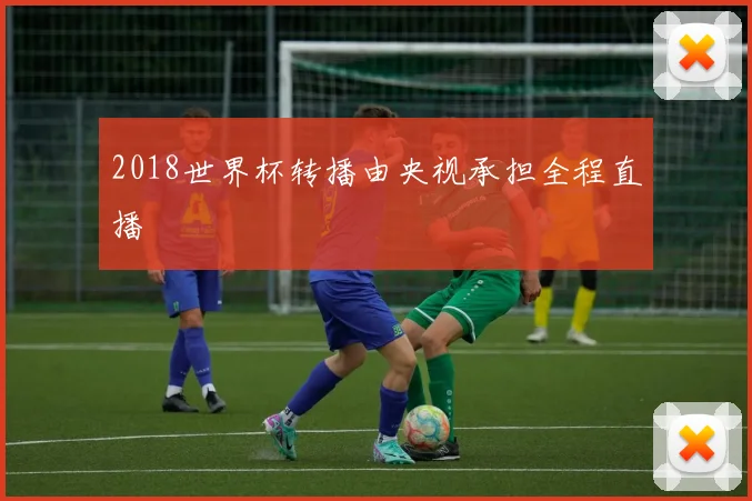 2018世界杯转播由央视承担全程直播